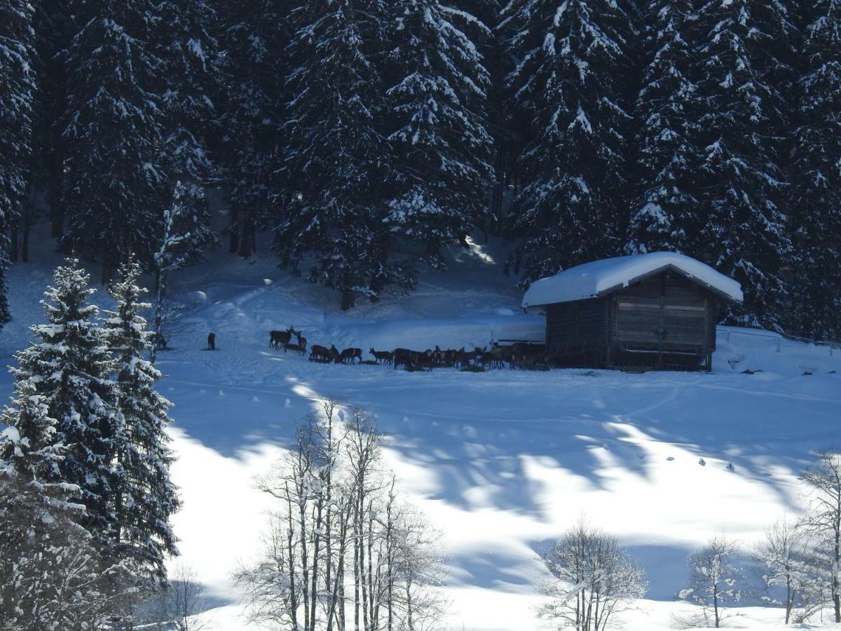 Апартаменти Blockhaus Ganschitter Гросарль Екстер'єр фото